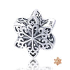 Snowflake Charm